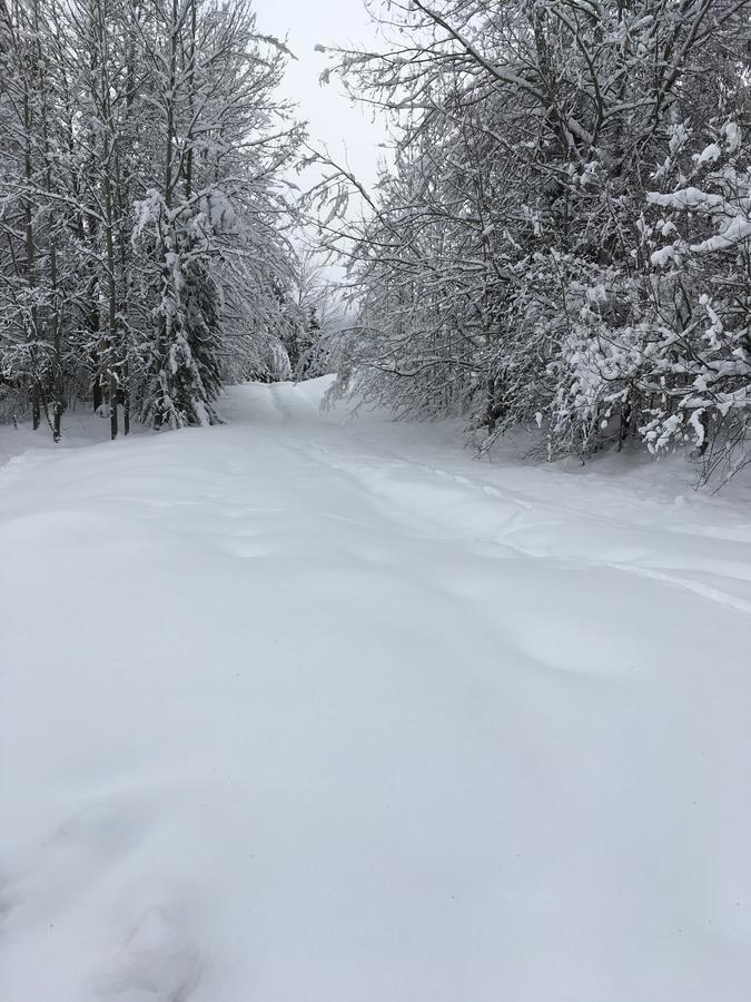 Auberge De Violaine Le Monetier-les-Bains Luaran gambar